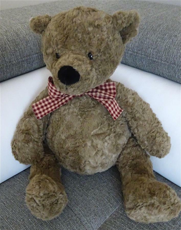L'Ourson Apartment กอลมาร์ ภายนอก รูปภาพ